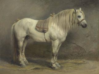 Rosa Bonheur - A White Horse