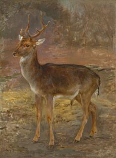 Rosa Bonheur - Cerf