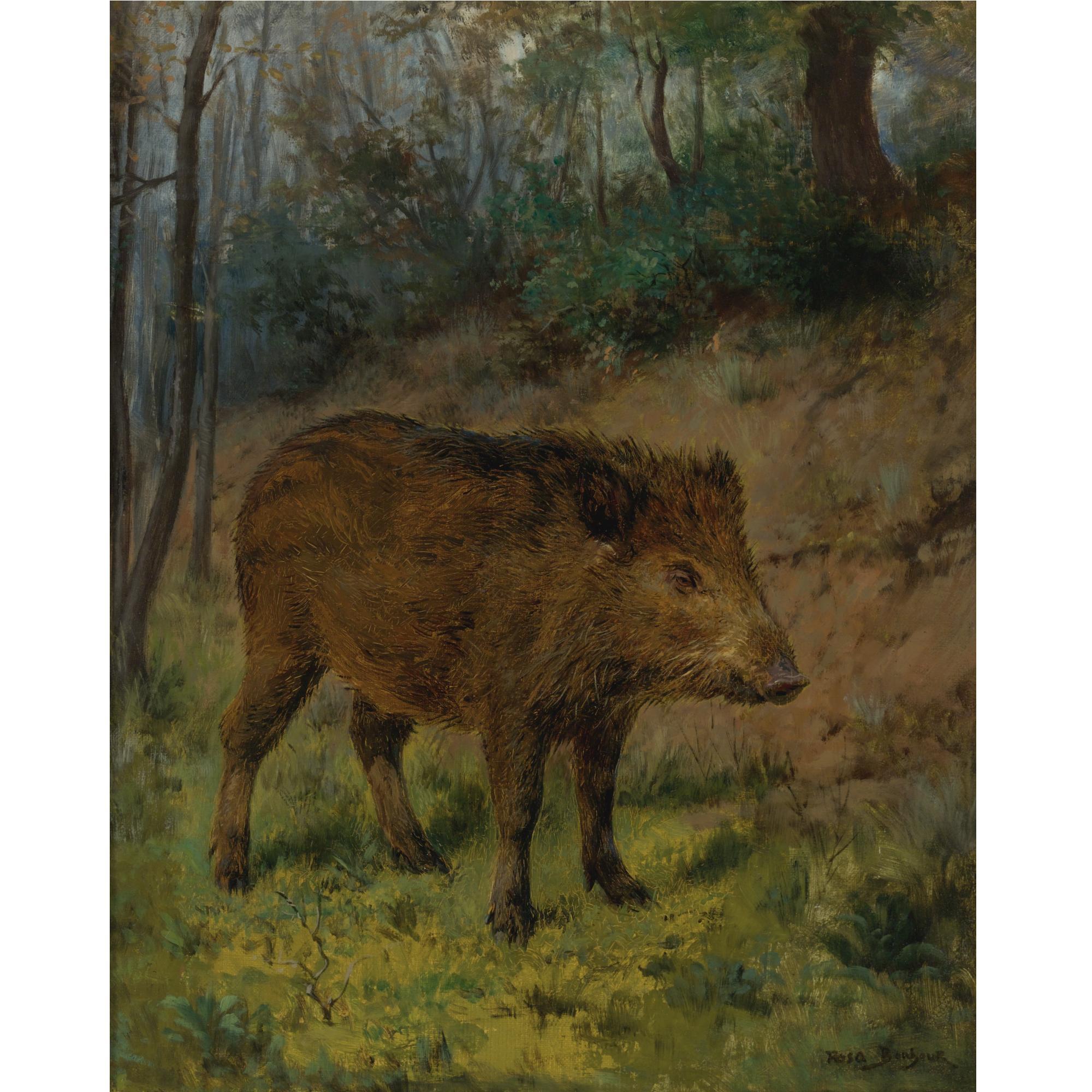 Rosa Bonheur - French A Boar