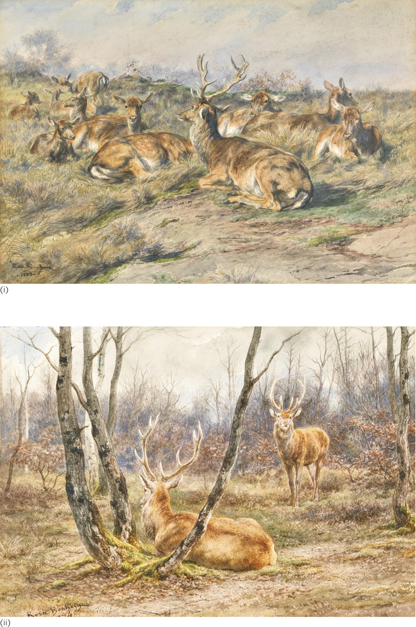 Rosa Bonheur - French deux Études De Cerfs