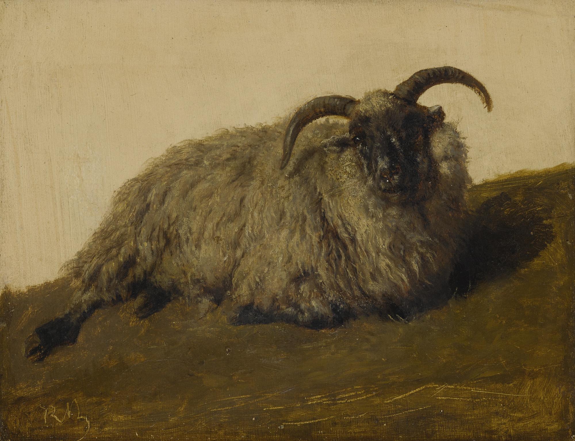Rosa Bonheur - French le Mérinos 