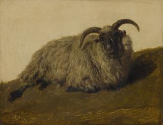 Rosa Bonheur - French le Mérinos 