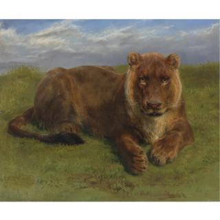 Rosa Bonheur - French Lioness At Rest