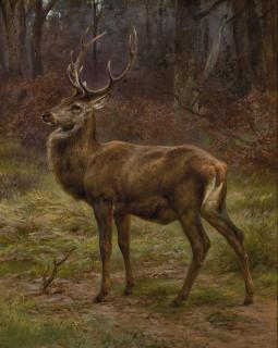 Rosa Bonheur - French stag In An Autumn Landscape