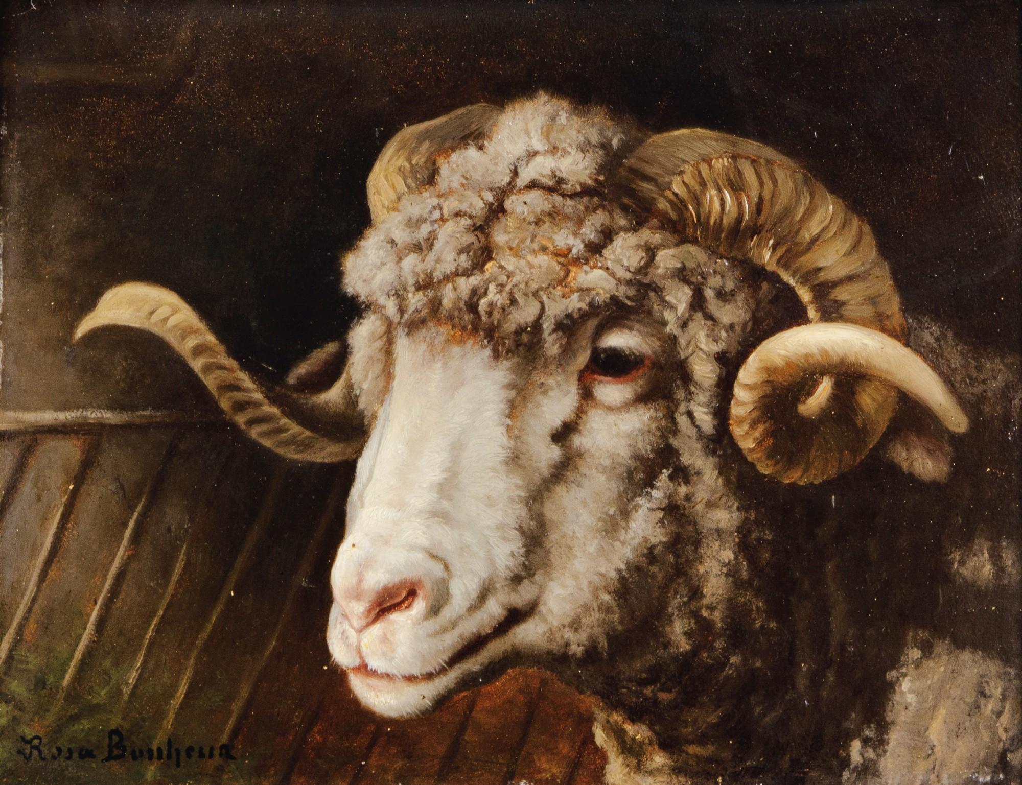 Rosa Bonheur - Head Of A Ram