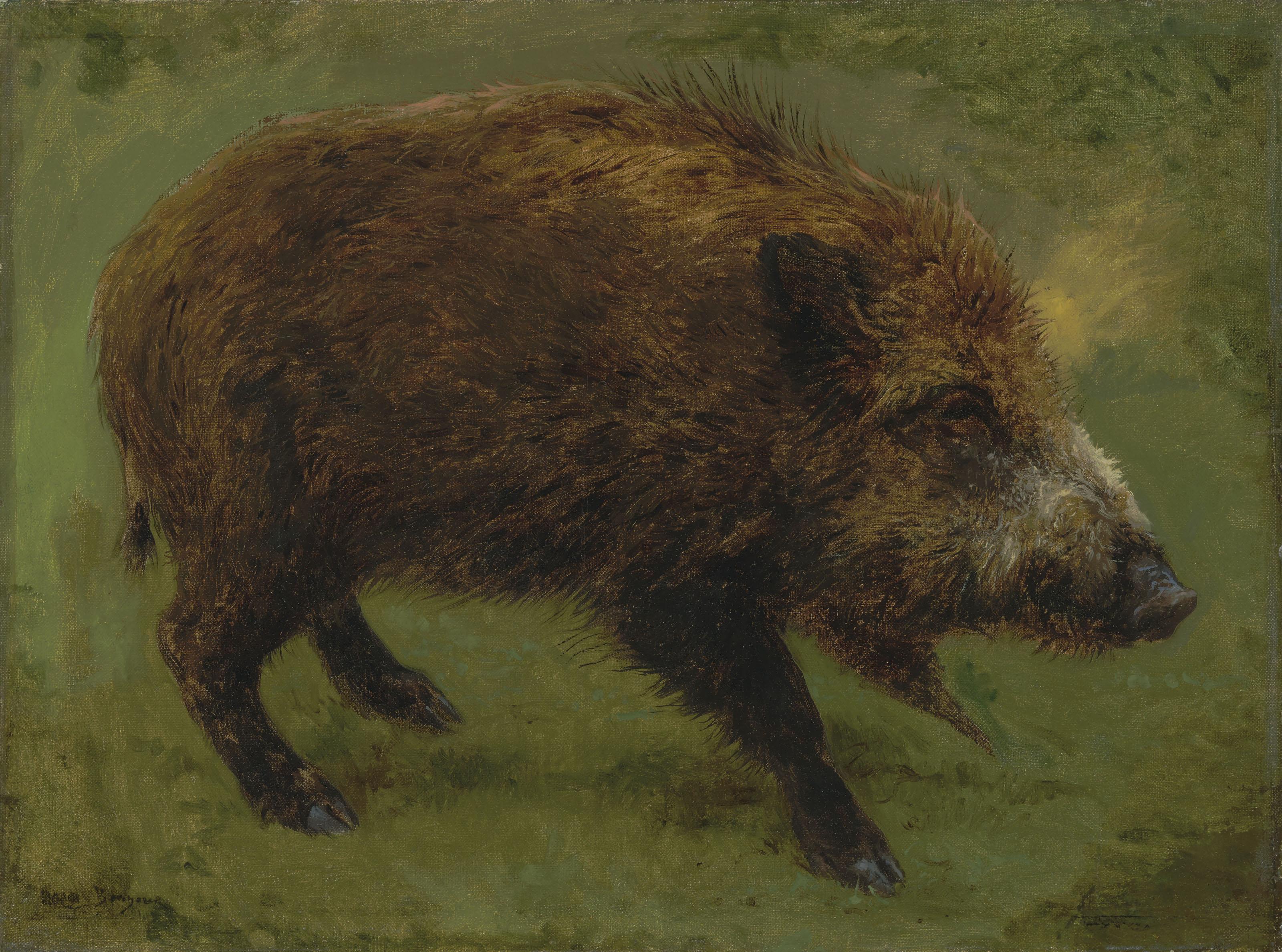 Rosa Bonheur - Le sanglier