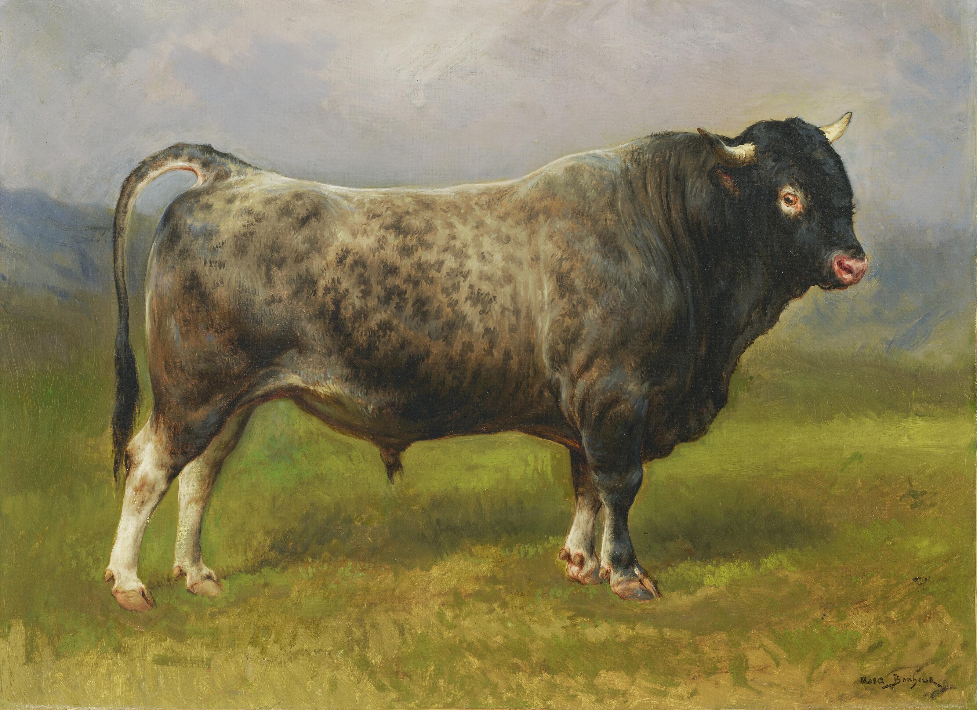 Rosa Bonheur - Le taureau gris