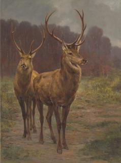Rosa Bonheur - Monarchs of the Forest