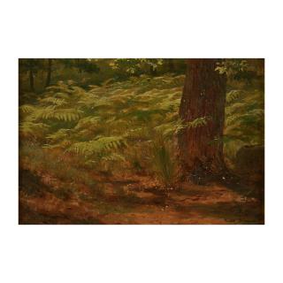 Rosa Bonheur - Sous-bois aux fougères