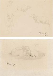 Rosa Bonheur - Studies of sheep