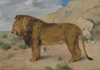 Rosa Bonheur - Study Of A Lion