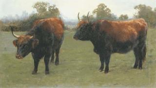 Rosa Bonheur - Taureaux dans un Pré