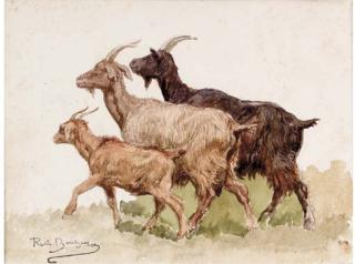 Rosa Bonheur - Three goats