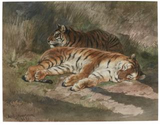 Rosa Bonheur - Two Recumbent Tigers