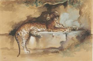 Rosa Raymond Bonheur - A Tiger Resting On A Ledge