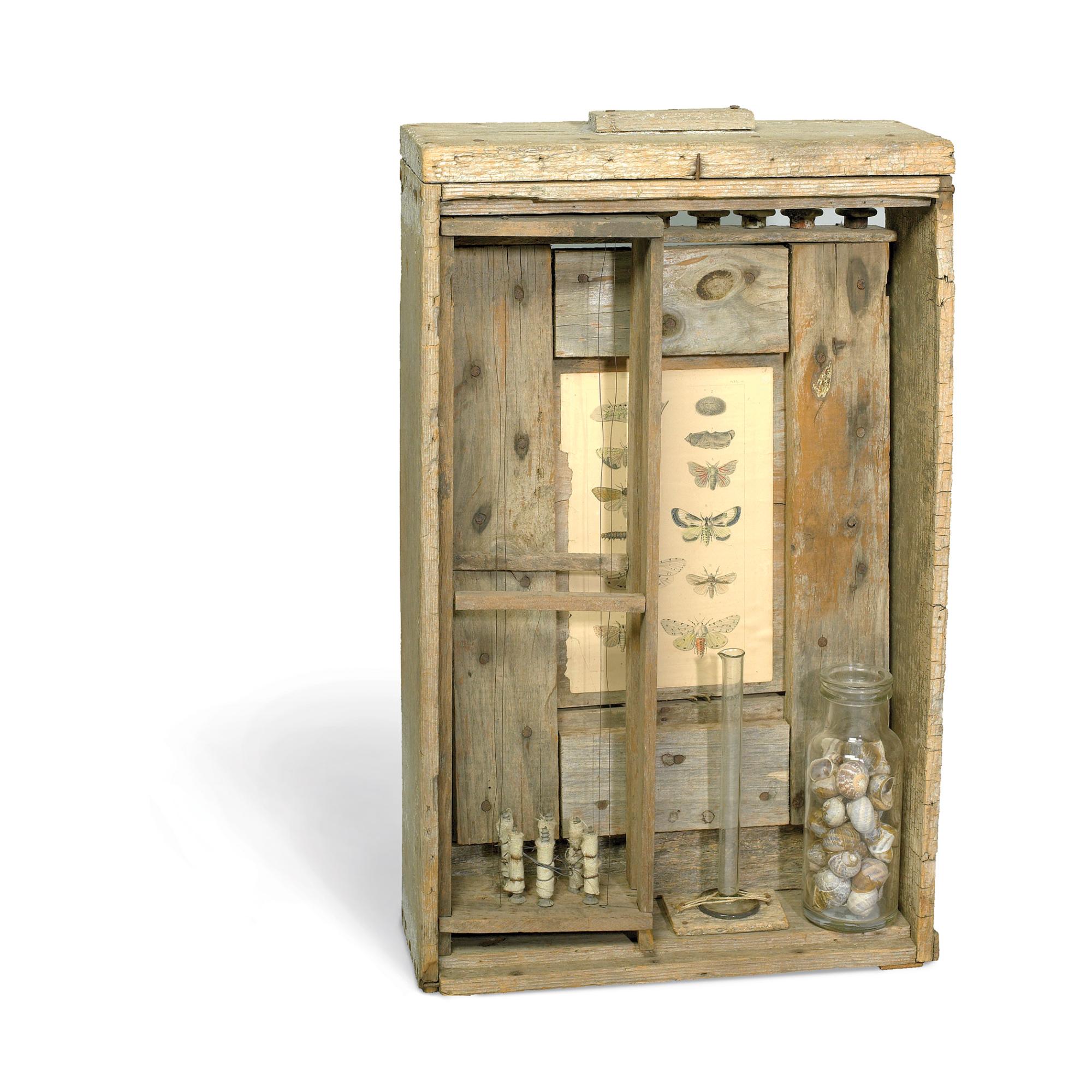 Rosalie Gascoigne - Australian Moth Box