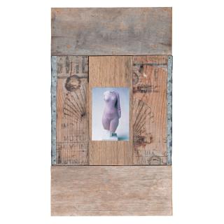 Rosalie Gascoigne - Australian Venus