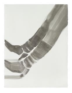 Rosemarie Trockel - All That Falls