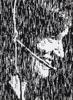 Rosemarie Trockel - \