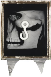 Rosemarie Trockel - Badlands