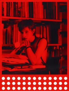 Rosemarie Trockel - Bibliothek Babylon.