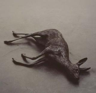 Rosemarie Trockel - Creature of Habit 2 (Deer)
