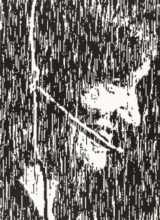 Rosemarie Trockel - Hahn, U. und Trockel, R. – Antigone.