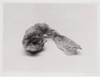 Rosemarie Trockel - Landschaft mit Frauenfigur