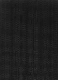 Rosemarie Trockel - Made In Western Germany