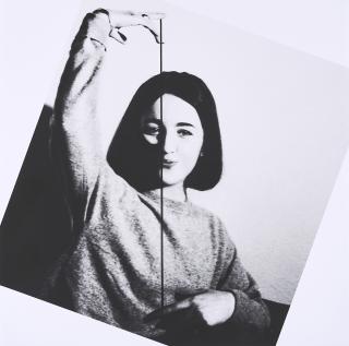 Rosemarie Trockel - Ohne Titel (Linde).