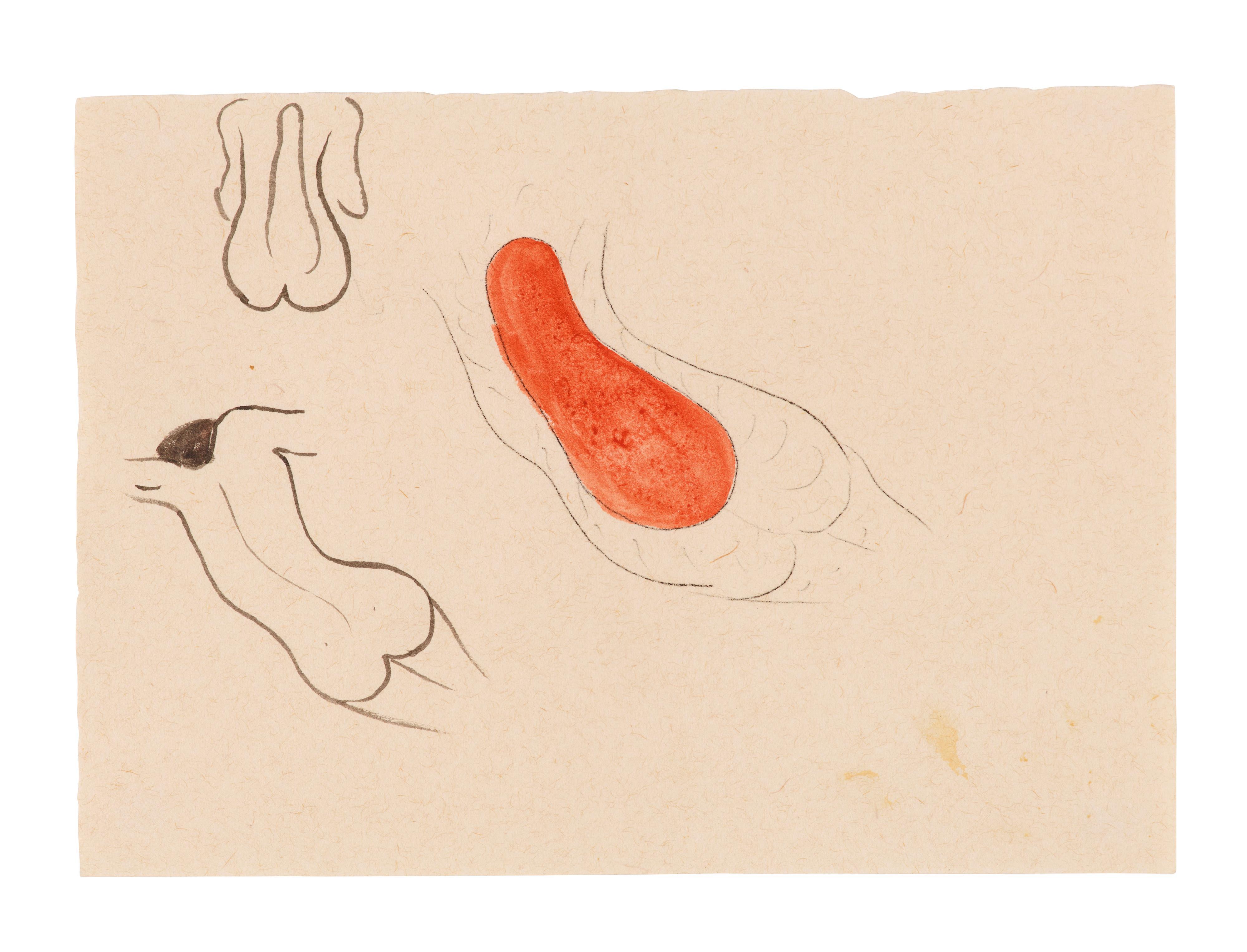 Rosemarie Trockel - Ohne Titel (Women\'s backs)