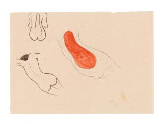 Rosemarie Trockel - Ohne Titel (Women\'s backs)