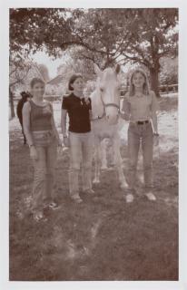 Rosemarie Trockel - Ohne Titel