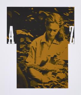 Rosemarie Trockel - Tarzan (Jane Goodall).