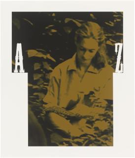 Rosemarie Trockel - Tarzan