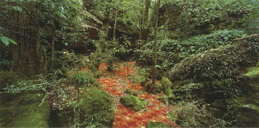 Rosemary Laing - Groundspeed (Red Piazza) #4, 2001