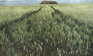 Rosie Snell - The Hangar