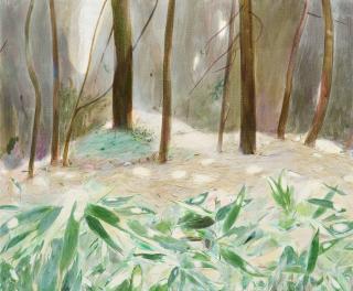 Rosilene Luduvico - \