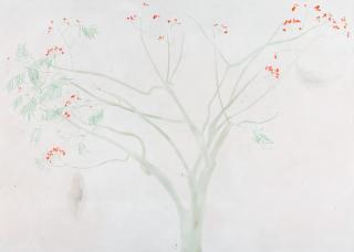 Rosilene Luduvico - Nenhum pinguinho de chuva (Not even a small drop of rain).