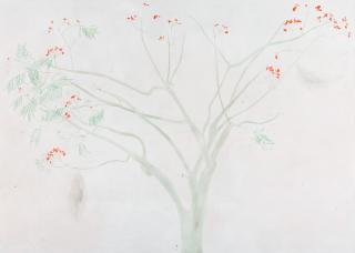 Rosilene Luduvico - Nenhum pinguinho de chuva (Not even a small drop of rain)