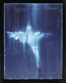 Ross Bleckner - Bird