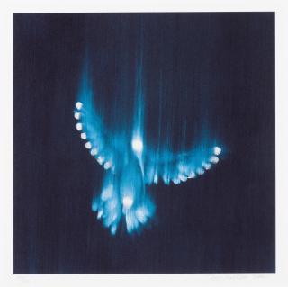 Ross Bleckner - Falling Birds, 2002