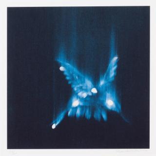 Ross Bleckner - Falling Birds, 2002