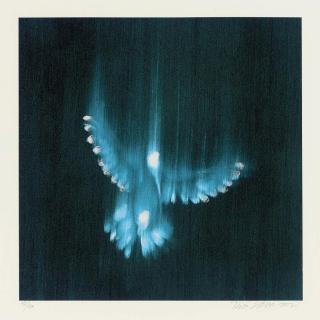 Ross Bleckner - Falling birds I