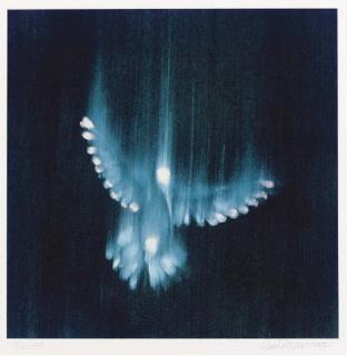 Ross Bleckner - Falling Birds, I