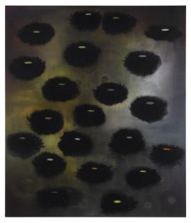 Ross Bleckner - Hidden Law