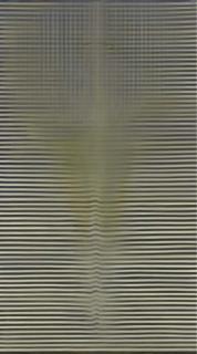 Ross Bleckner - Spinning and Breathing