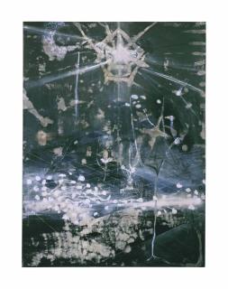 Ross Bleckner - The Seventh Examined Life