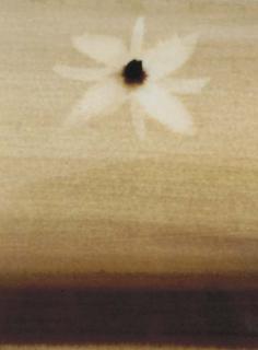 Ross Bleckner - Untitled