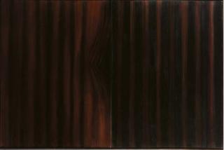 Ross Bleckner - Veiling and Forgetting